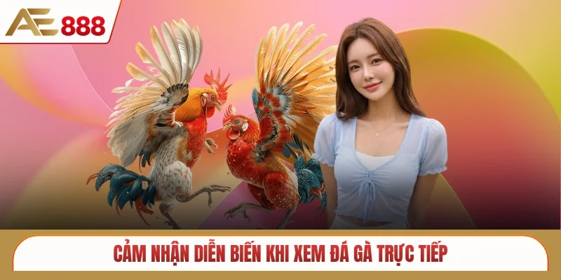 Cảm nhận diễn biến khi xem đá gà trực tiếp
