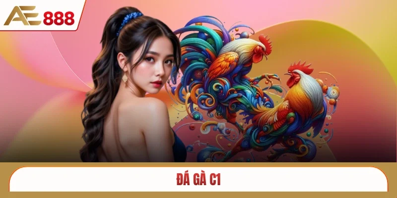 Đá gà C1