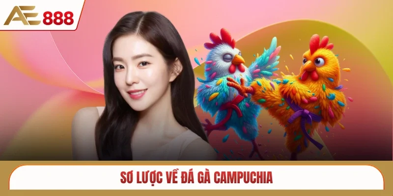 Sơ lược về đá gà Campuchia