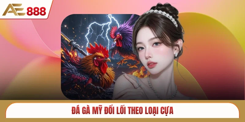 Đá gà Mỹ đổi lối theo loại cựa