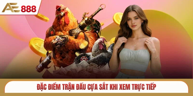 Đặc điểm trận đấu cựa sắt khi xem trực tiếp