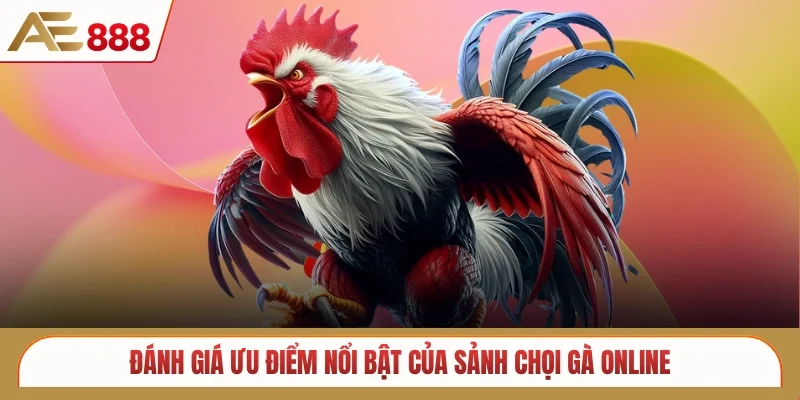 Đánh giá ưu điểm nổi bật của sảnh chọi gà online