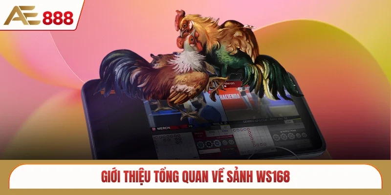Giới thiệu tổng quan về sảnh Ws168