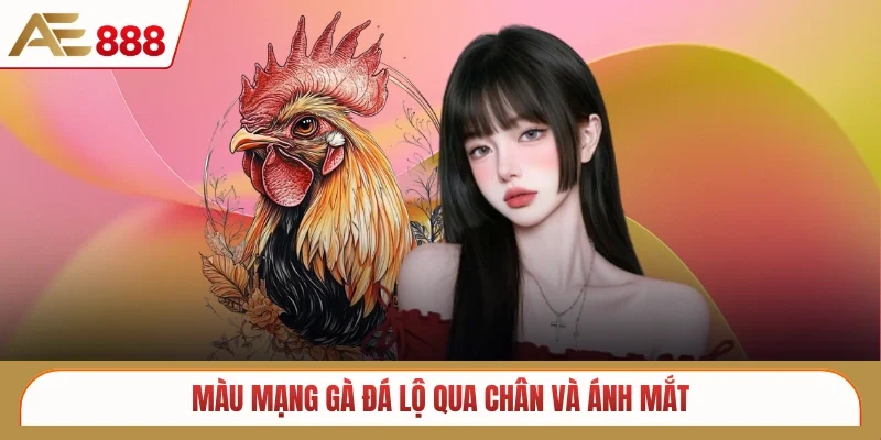 Màu mạng gà đá lộ qua chân và ánh mắt