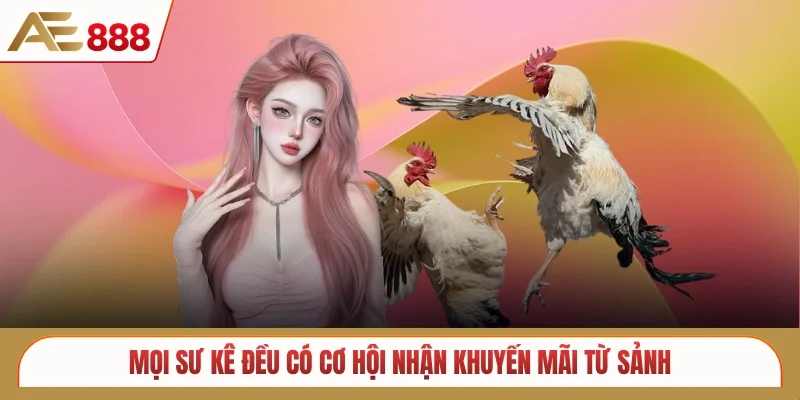 Mọi sư kê đều có cơ hội nhận khuyến mãi từ sảnh