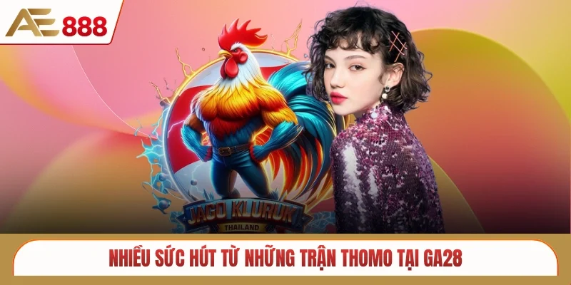 Nhiều sức hút từ những trận Thomo tại GA28