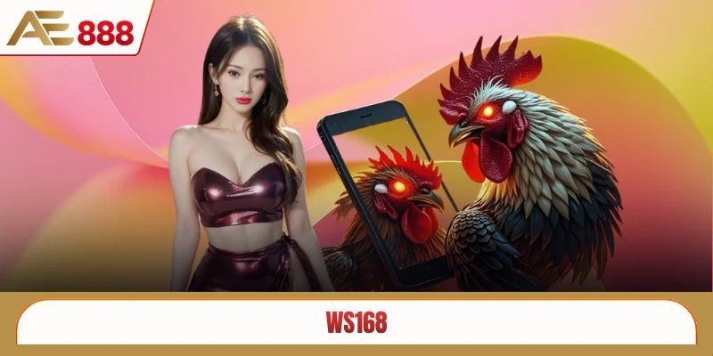 Ws168
